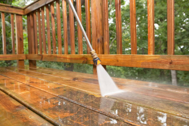 Best Roof Washing  in La Marque, TX